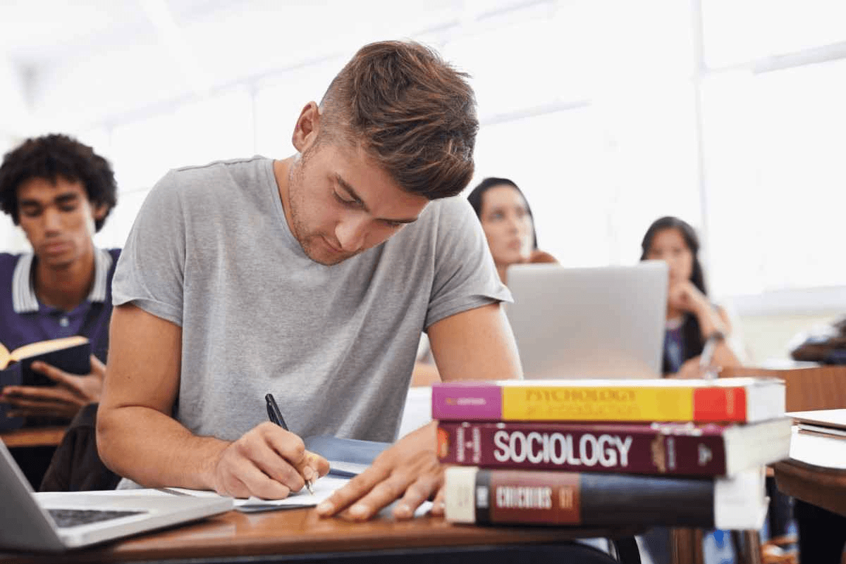 Higher Secondary (+1 & +2) Tuitions